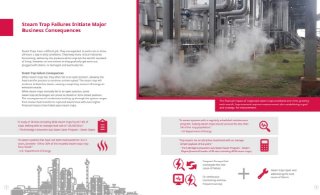 Condensate Removal – Process Steam Traps